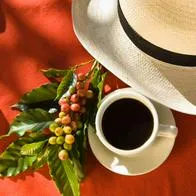 Foto de café en Colombia, en nota de dónde queda Salazar de las Palmas, primer pueblo con café en Colombia: muy bello
