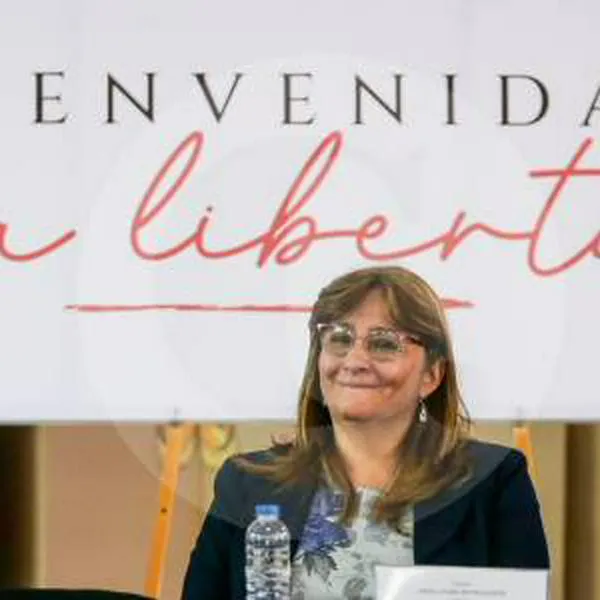 Así fueron las presiones que hicieron renunciar a la ministra de Justicia: “Intenté contarle al presidente”