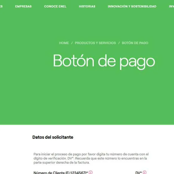Pagar Enel por PSE: cómo saber si es el link real y no es cualquier estafa