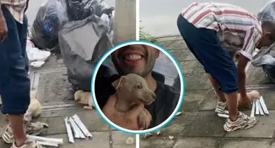 Joven que rescató a un perro que era maltratado en Cali