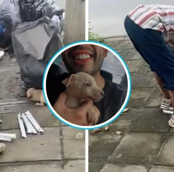 Joven que rescató a un perro que era maltratado en Cali