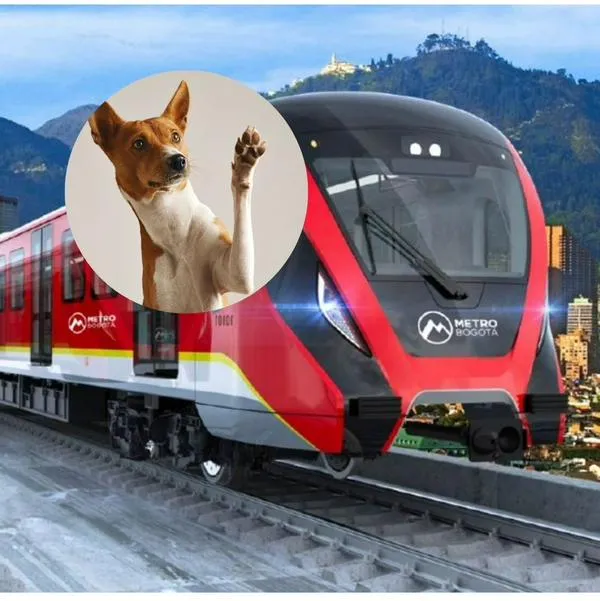 ¿Cómo llevar a mi perro en el metro de Bogotá? Aclaran si será Pet Friendly