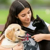 Preocupante futuro para quienes tienen gatos y perros y no quieran tener hijos