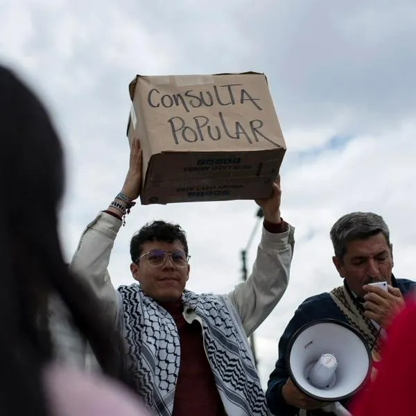 Consejo de Estado estudiará demanda tras hundimiento de consulta popular