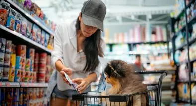 Experto aclara si es permitido el ingreso de mascotas a supermercados como Éxito, Alkosto, Homecenter en Colombia. Hay varias opciones. 