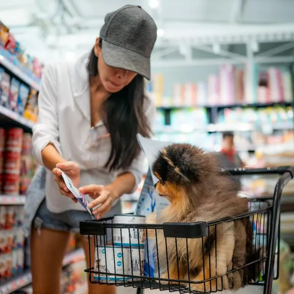 Experto aclara si es permitido el ingreso de mascotas a supermercados como Éxito, Alkosto, Homecenter en Colombia. Hay varias opciones. 