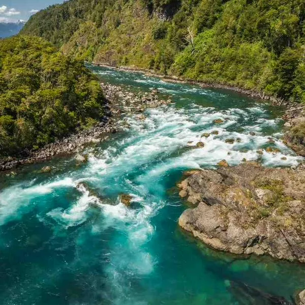 Foto de río, en nota de cuál es el río que atraviesa más países en el mundo: 10 sitios y mucha extensión