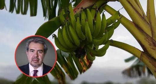 tarjeta noticia
