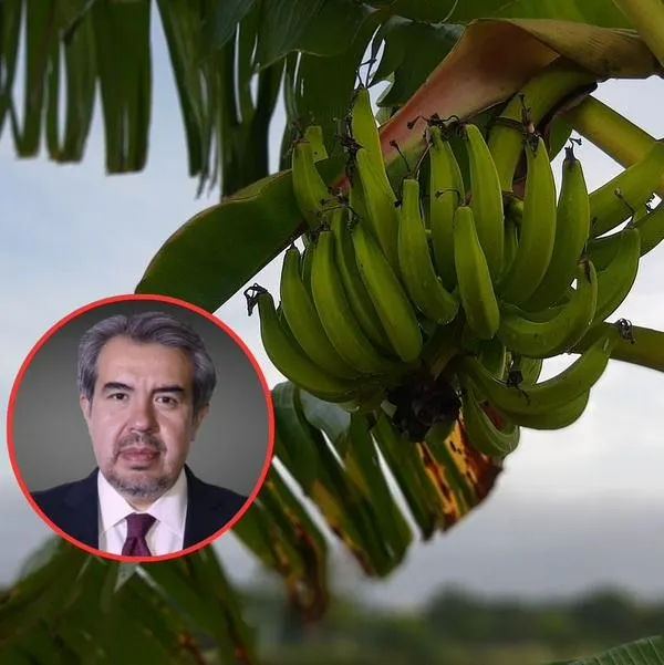 ¿Cómo va el proceso Chiquita Brands en Colombia? Abogado responde 