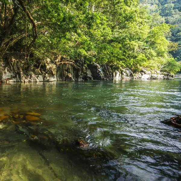 Imagen de referencia, en nota sobre cuál es la 'Perla Verde de Antioquia'