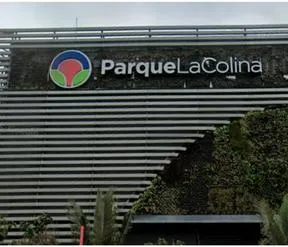 Imagen representativa del artículo