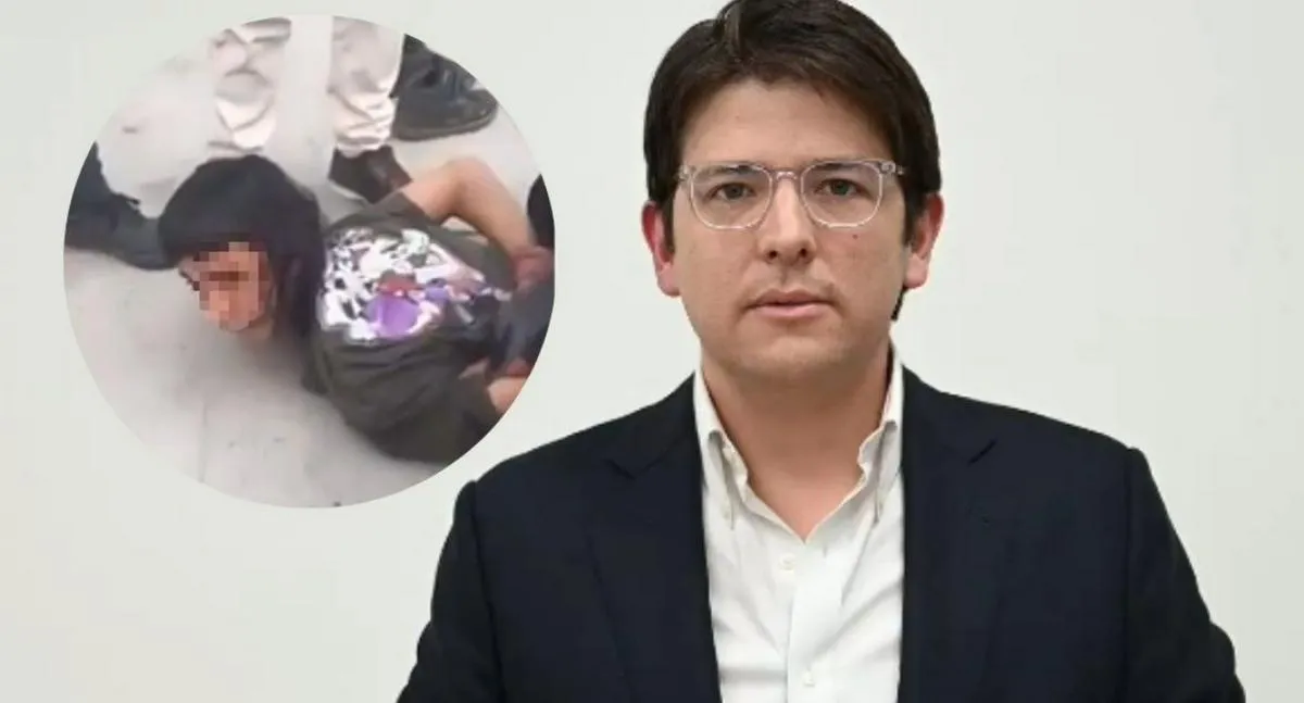 Descripción de la imagen