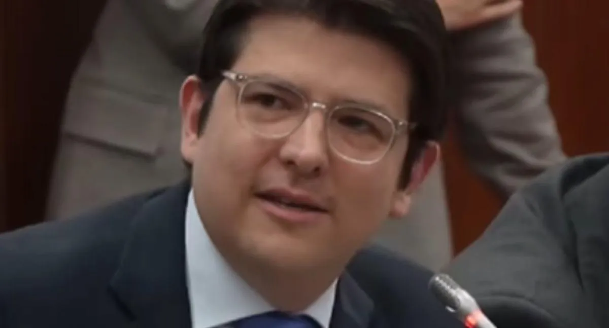 Descripción de la imagen
