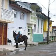 Finlandia, Colombia / Getty