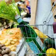 Centro comercial Santa Fe tiene tienda con productos desde 2.000 pesos