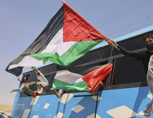 Marcha de solidaridad con Gaza: numerosos activistas pro palestinos detenidos en El Cairo