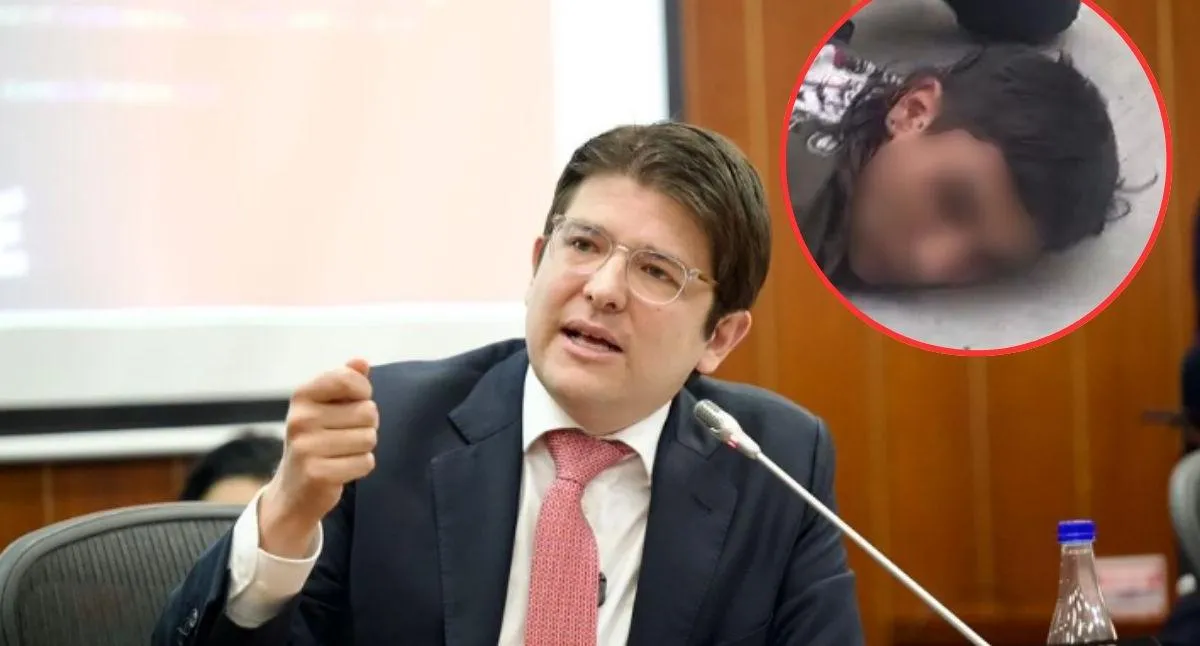 Descripción de la imagen