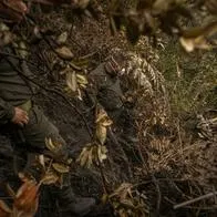 Policía Ambiental