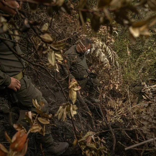 Policía Ambiental
