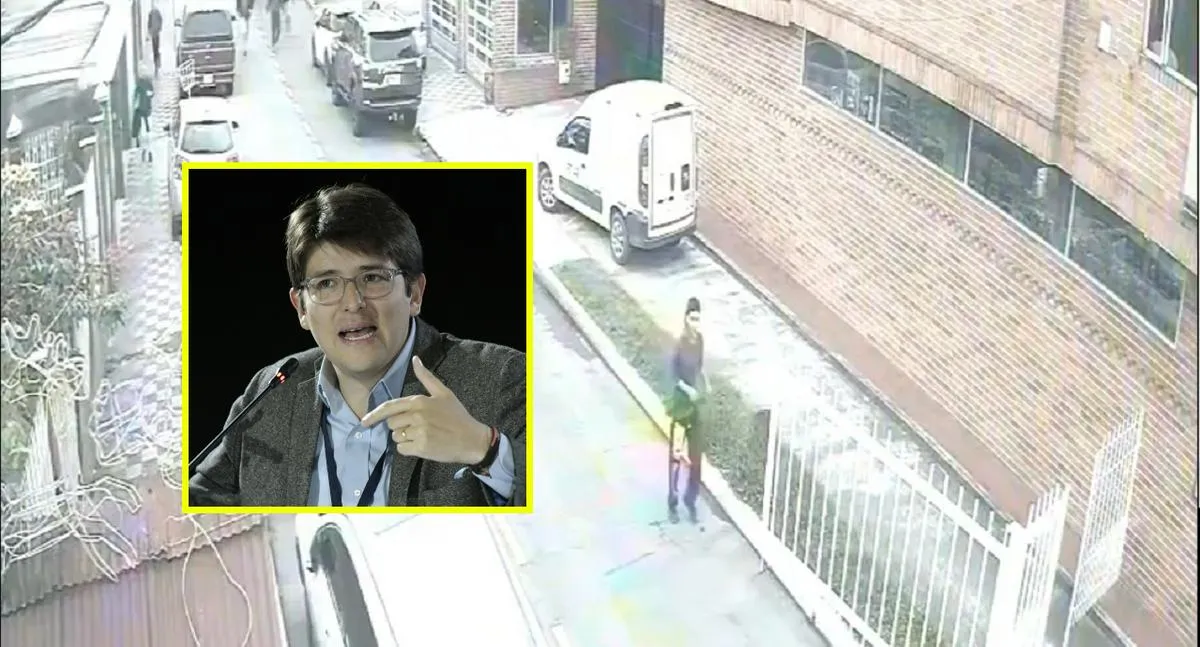 Descripción de la imagen