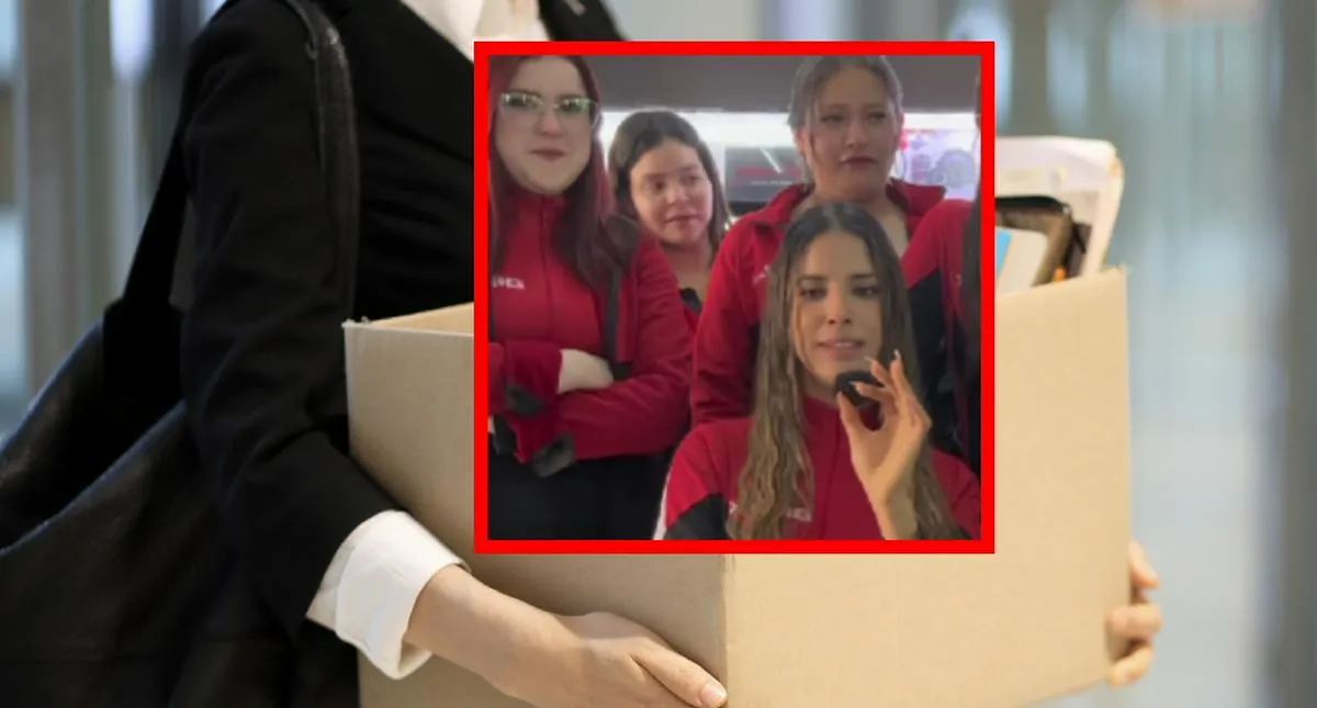 Imagen representativa del artículo
