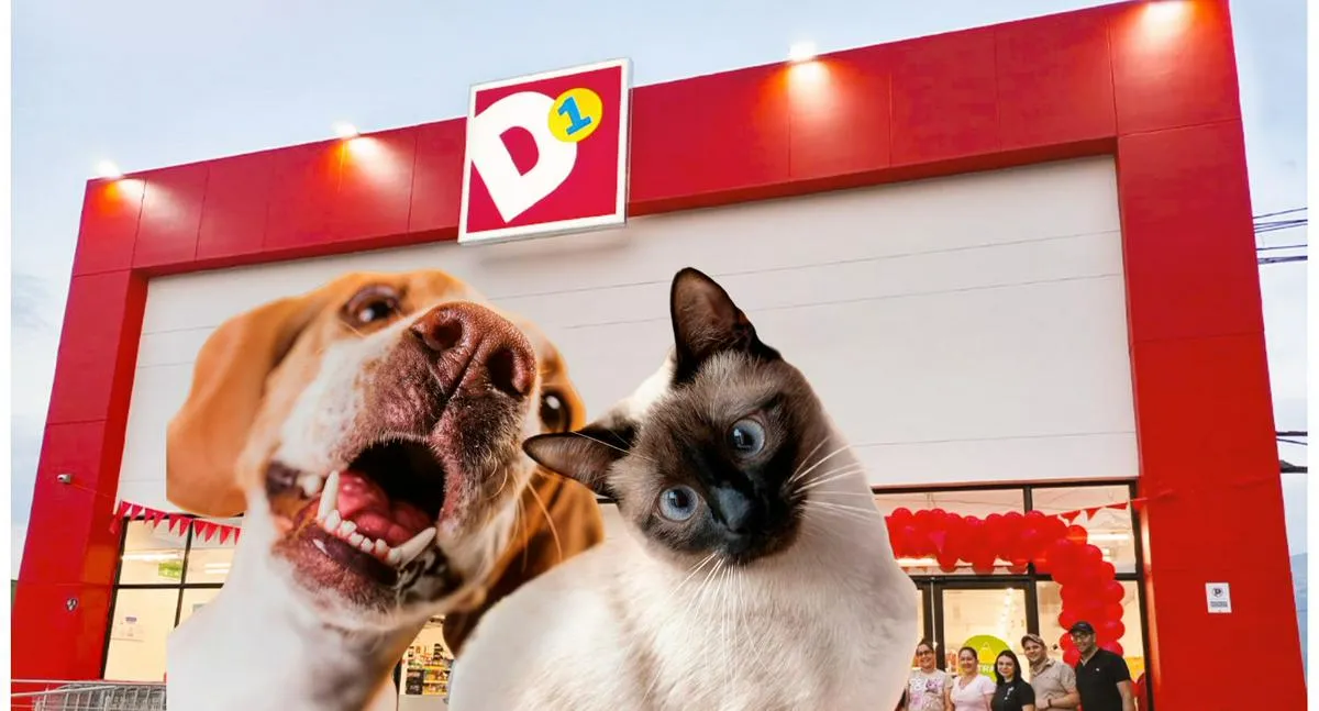  D1 productos nuevos: lanza accesorios para mascotas útiles desde $ 3.900