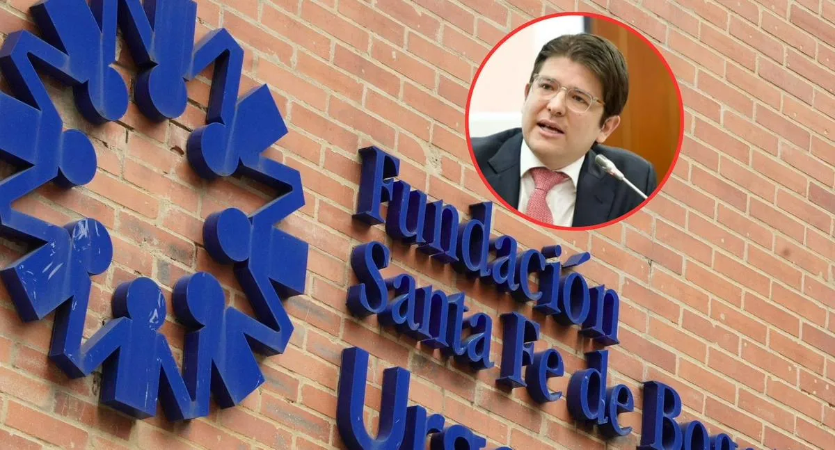 Descripción de la imagen
