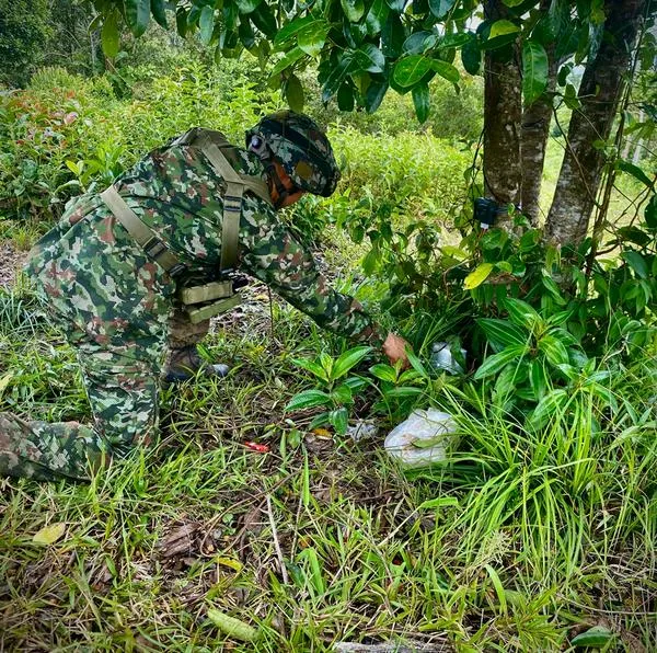 OEA confirma deterioro de orden público en Colombia