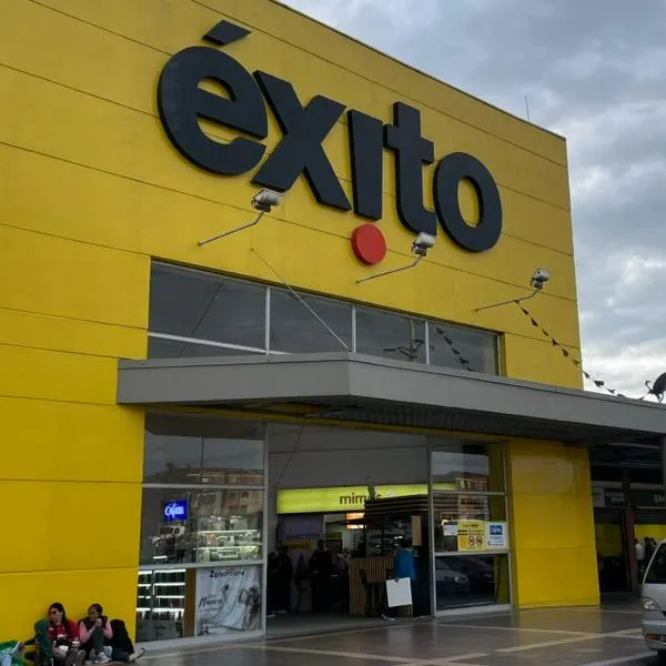 Perro que venden en el Éxito y que cuesta $ 5.000: es el favorito de muchos