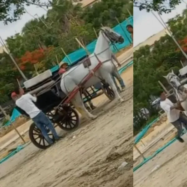 hombres patean a caballo en Cartagena 
