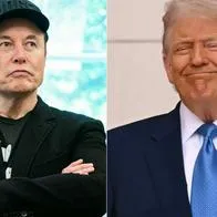 Donald Trump dijo si deportará a Elon Musk de EE. UU. y le envió advertencia