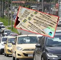 Conductores no necesitarían licencia de conducción si manejan estos vehículos