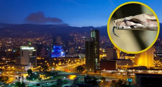 tarjeta noticia