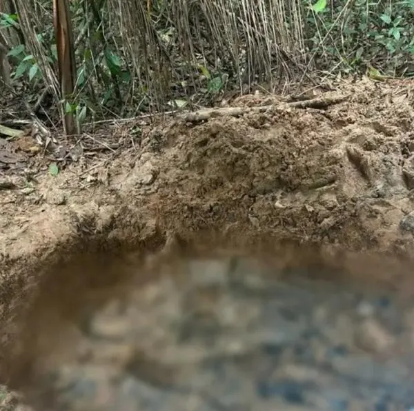 El hallazgo de una fosa común con ocho cuerpos en Calamar ha sido la mayor en lo que va de 2025. Todos eran líderes sociales. 