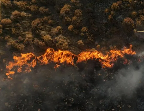 Se disparan los incendios en Turquía: 50.000 personas evacuadas en Izmir y Hatay