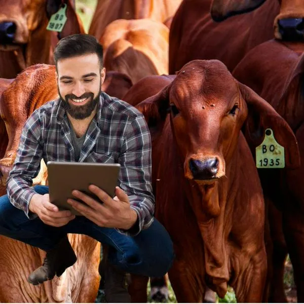 ¿Cómo participar en Agroexpo 2025? Así se participa en remate y compra de ganado