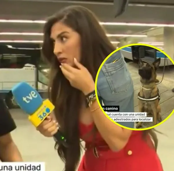 Polémica en TVE: perro policía detecta drogas en Vivo en San Fermín, video viral