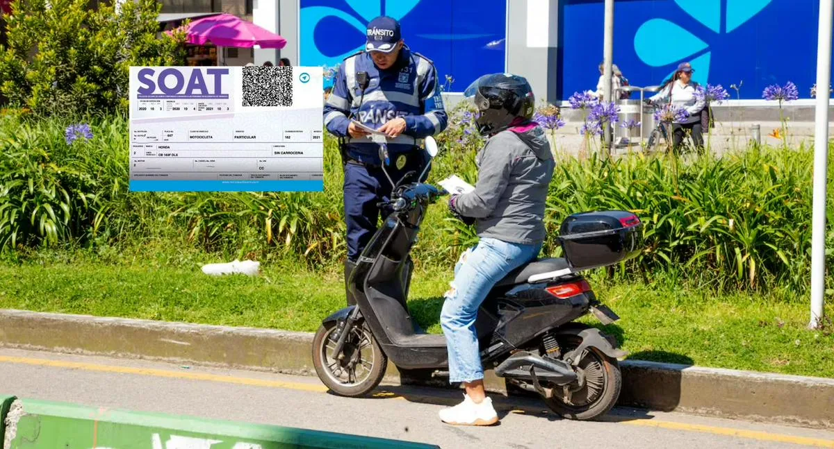 Imagen representativa del artículo
