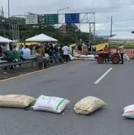 A qué hora dan paso por vía al Llano tras bloqueos de productores de arroz