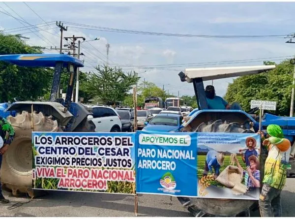 Paro arrocero en Colombia: vías bloqueadas en Tolima, Cundinamarca y más
