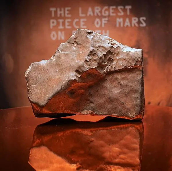NEW YORK CITY, UNITED STATES - JULY 8: A rare juvenile Ceratosaurus skeleton from the Late Jurassic Era and the largest ever Martian meteorite are on view for the first time at Sotheby's before the auction on July 8, 2025, New York City, United States. A rock is expected to fetch up to $4 million as the biggest chunk of Mars on Earth. (Photo by Selcuk Acar/Anadolu via Getty Images)