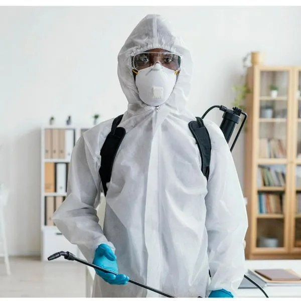¿Qué tan seguido se debe fumigar una casa? Límite para evitar intoxicaciones 