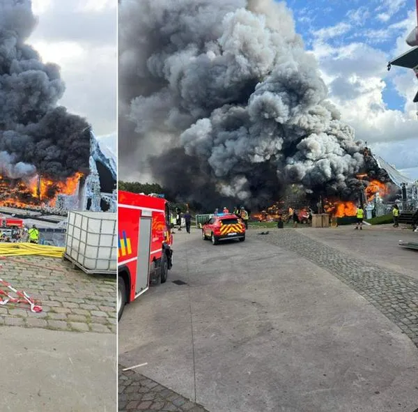 Se registra incendio en Tomorrowland en Bélgica: se presenta Martin Garrix
