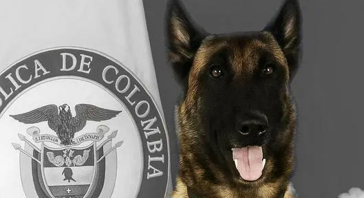 Imagen noticia seccion