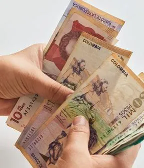 Imagen representativa del artículo