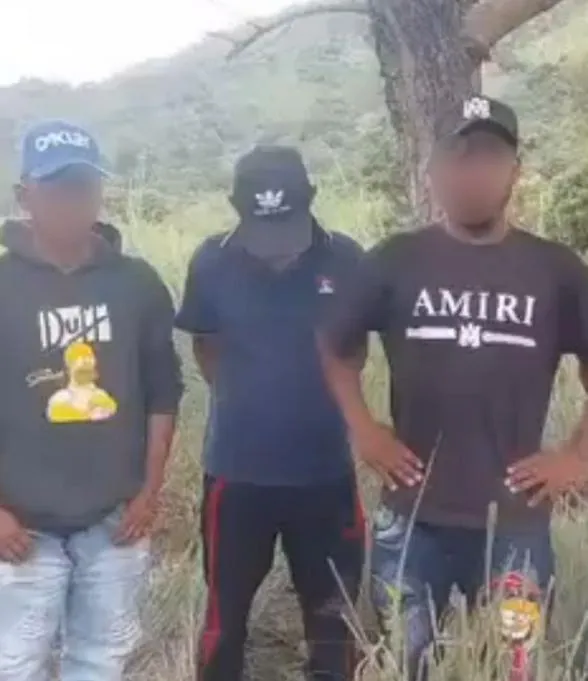 imagen articulo principal apertura