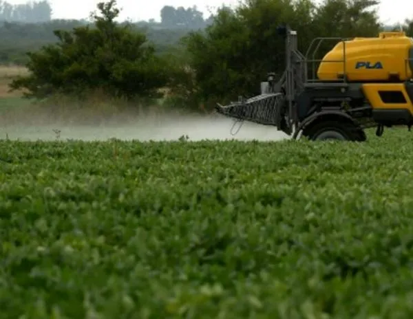 Estudio argentino advierte sobre la nocividad para las mujeres embarazadas de los pesticidas y su ‘efecto cóctel’