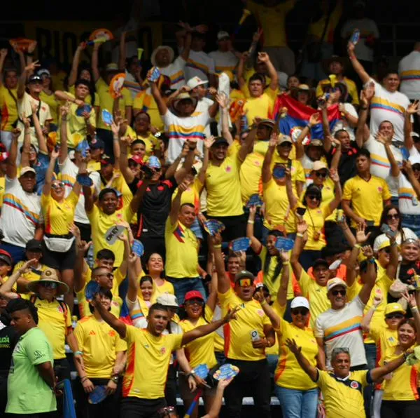 Hinchas Selección Colombia
