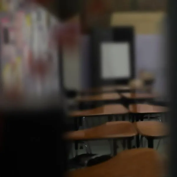 Niña atacada en colegio Codema (Bogotá): cercana dio detalles de agresores