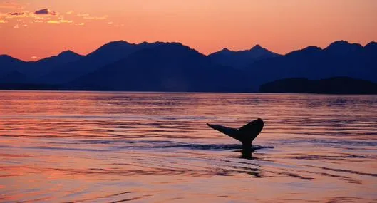 image_desktop